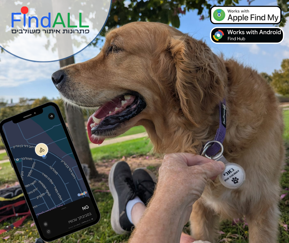 babiZiporim babiZiporim