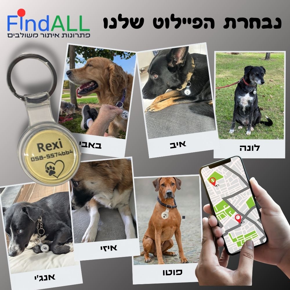 presentors presentors