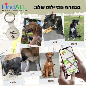 presentors presentors